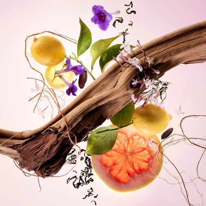 Rare Beauty Mini Find Comfort Lotion & Fragrance Set