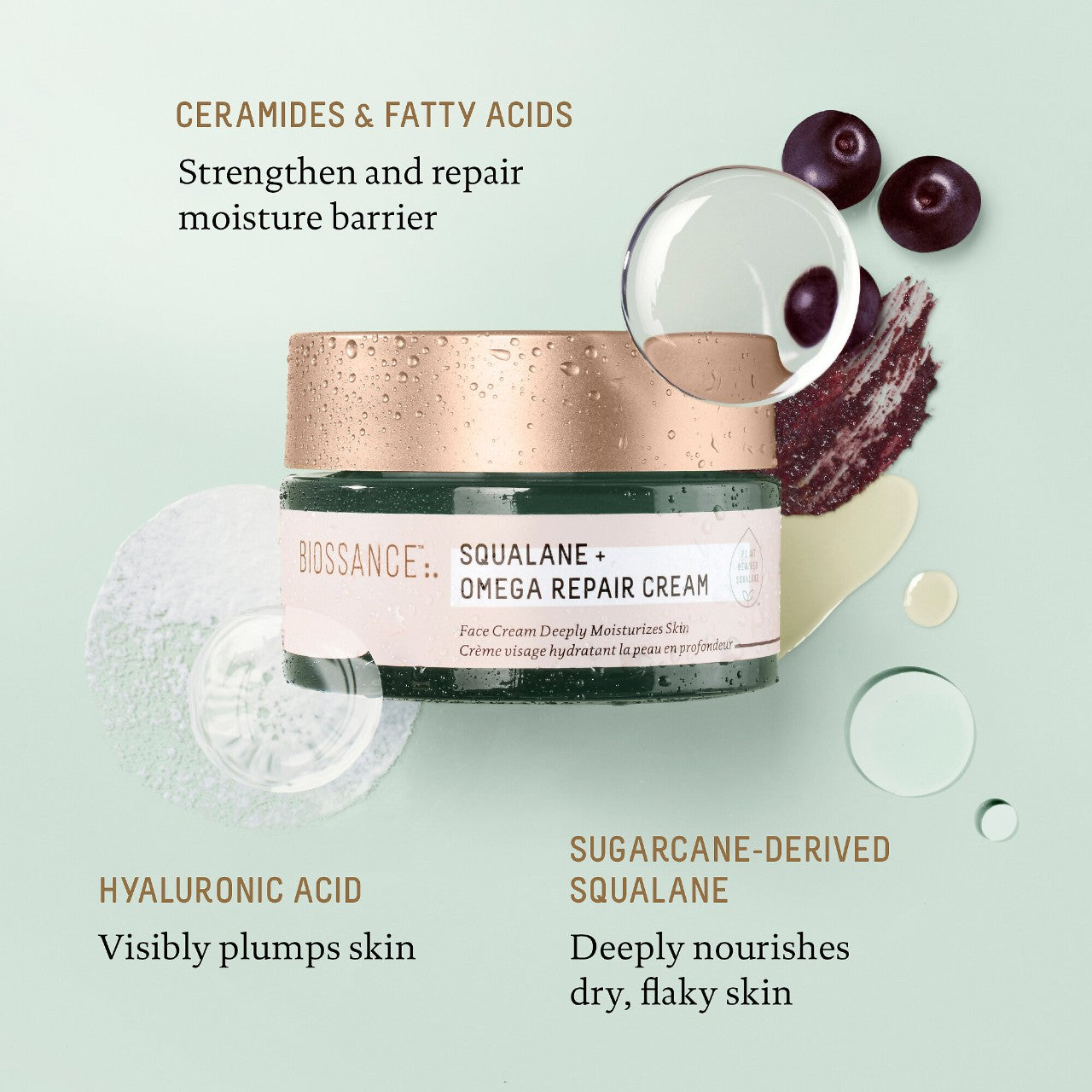 Repair Deep Hydration Moisturizer